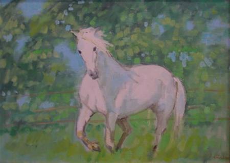 White horse / Candea Daradici Iulia